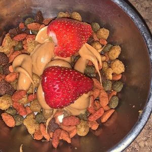 Meet your Posher, Anna